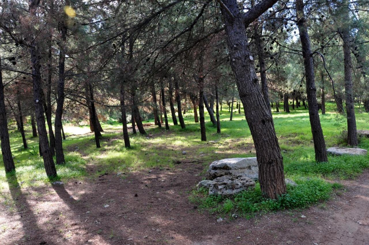 Aletraki -Off-Grid Retreat Above Heraklion, Peaceful Views Арханес Екстериор снимка