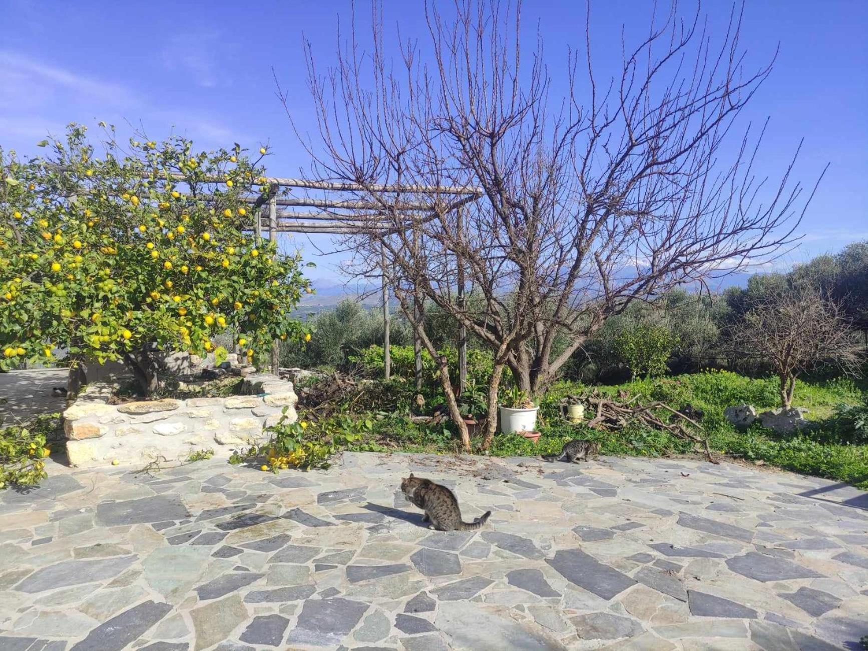 Aletraki -Off-Grid Retreat Above Heraklion, Peaceful Views Арханес Екстериор снимка